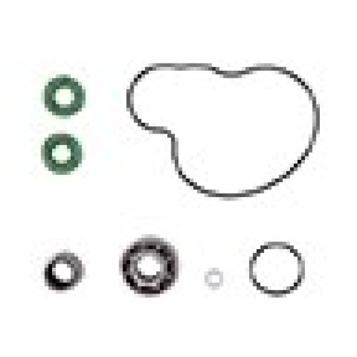 Kit Reparação Bomba Água Prox KTM SX-F450 07-12
